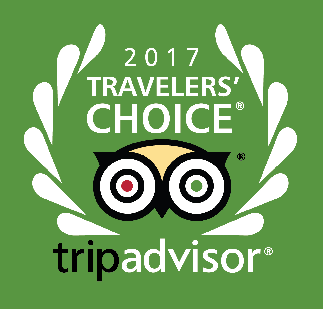 Traveler's Choice Award 2017