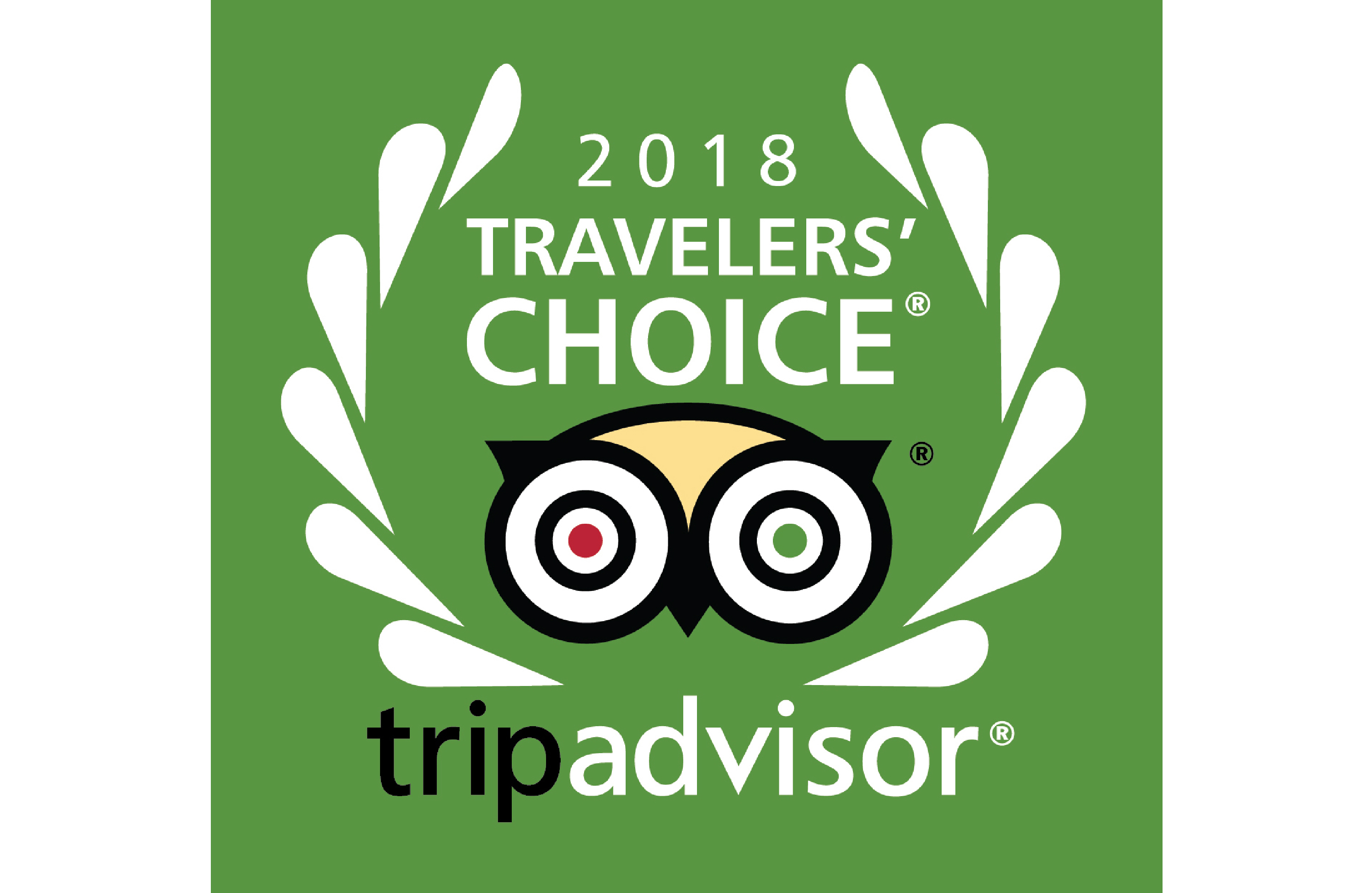 Traveler's Choice Award 2018
