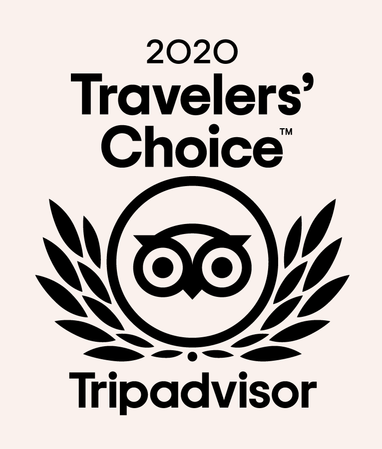 Traveler's Choice Award 2020