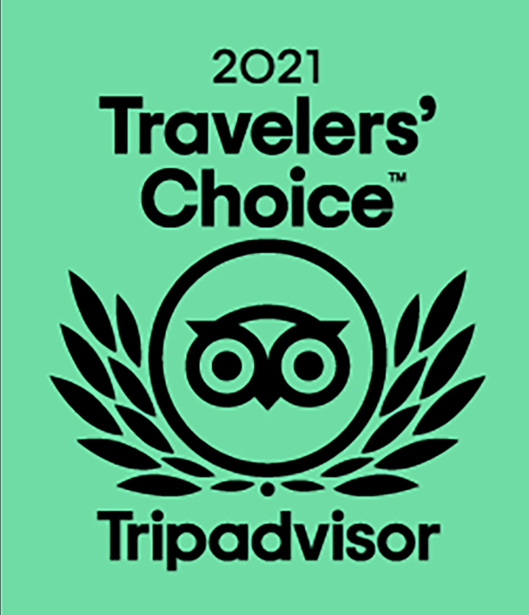 Traveler's Choice Award 2021