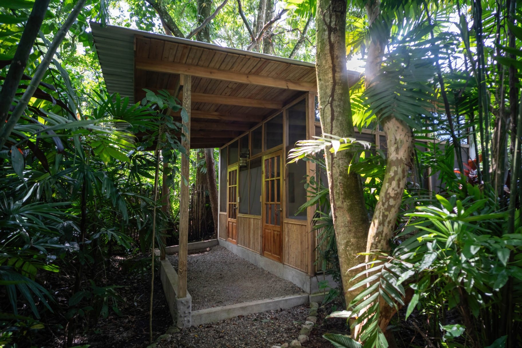 Spa cabin exterior surrounded by lush rainforest vegetation